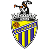 Valadares Gaia FC